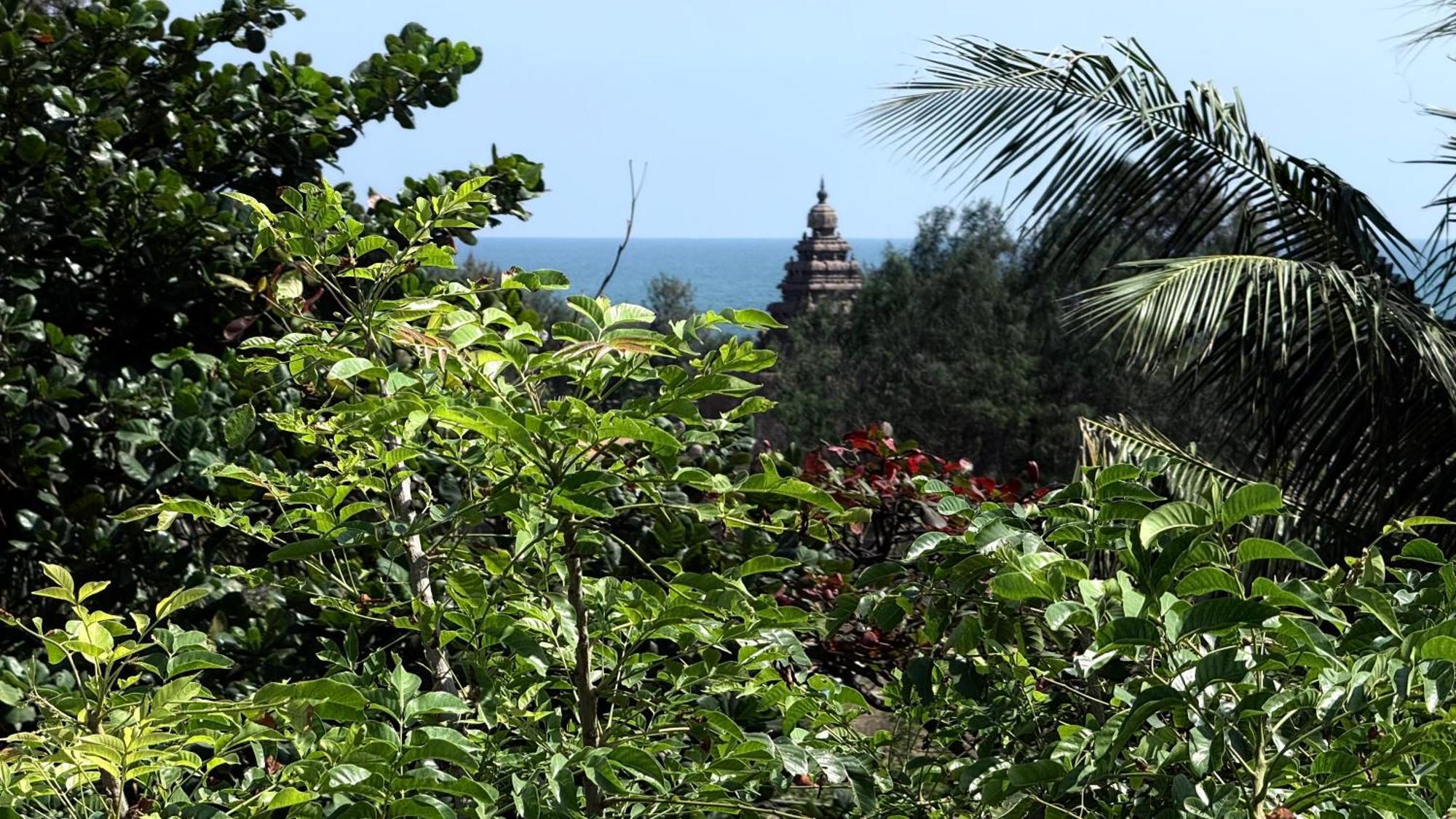 Sri Murugan Beach Paradise Hotel Mamallapuram Exterior foto